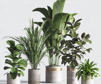 Modern Ground Green Plant Potted Plants-ID:962629395