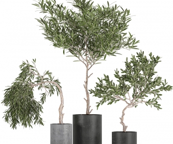 Modern Ground Green Plant Potted Plants-ID:958910947