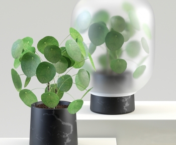 Modern Desktop Plant-ID:245794066