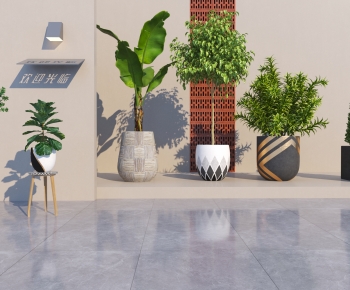 Modern Ground Green Plant Potted Plants-ID:273759438