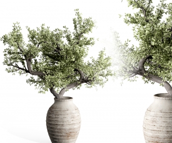 Modern Potted Green Plant-ID:899219559