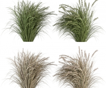 Modern The Grass-ID:722774036