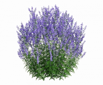 Modern Flowers And Grass-ID:158927922