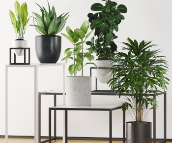 Modern Potted Green Plant-ID:209301951