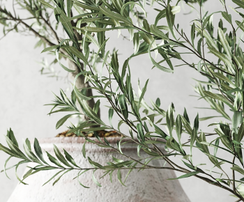 Modern Ground Green Plant Potted Plants-ID:502301938