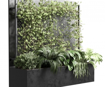 Modern Plant Wall-ID:699451929