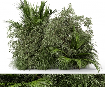 Modern Shrubbery-ID:586966994