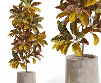 Modern Ground Green Plant Potted Plants-ID:809841282