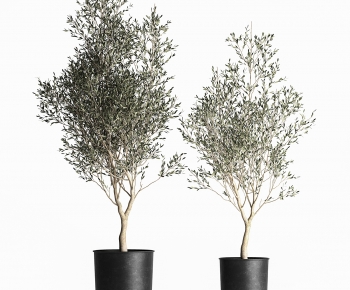 Modern Ground Green Plant Potted Plants-ID:509860045