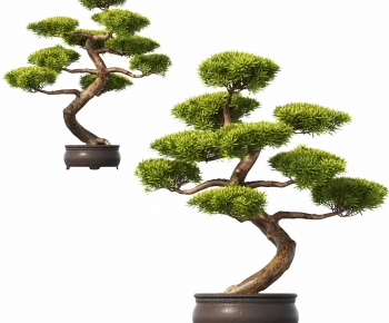 Modern Bonsai-ID:766165973