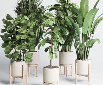 Modern Ground Green Plant Potted Plants-ID:352178104