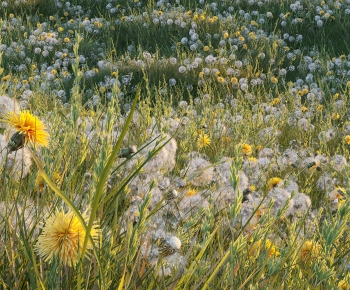 Modern Flowers And Grass-ID:735096934