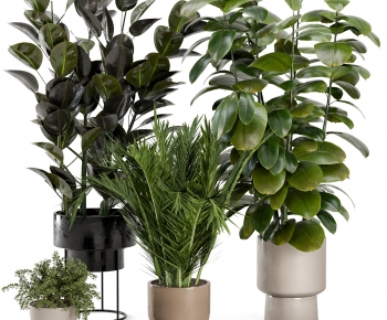 Modern Potted Green Plant-ID:739264012