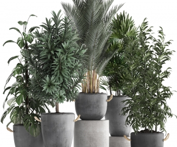Modern Potted Green Plant-ID:940918973