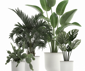 Modern Ground Green Plant Potted Plants-ID:432504893