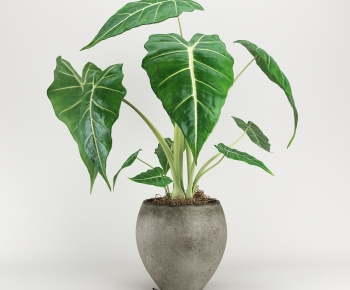 Modern Potted Green Plant-ID:304141045