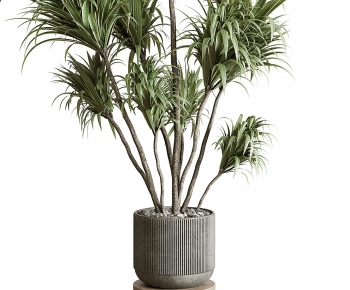 Modern Potted Green Plant-ID:544912101