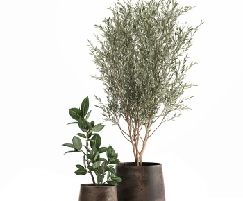 Modern Potted Green Plant-ID:345509154