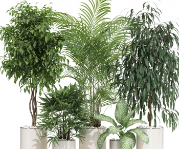 Modern Ground Green Plant Potted Plants-ID:938375005