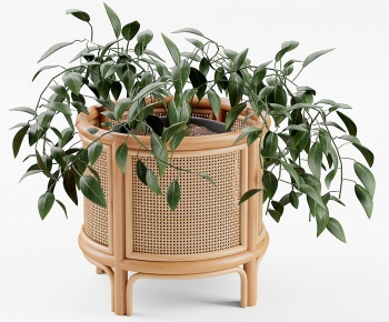 Modern Ground Green Plant Potted Plants-ID:732757093