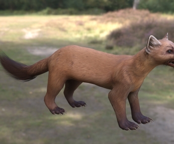 Modern Mammal-ID:316329007