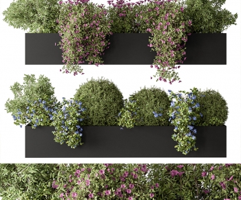 Modern Flower Bed, Flower Bowl, Flower Box-ID:116000894