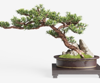 New Chinese Style Bonsai-ID:139496094