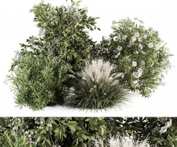 Modern Shrubbery-ID:577126984