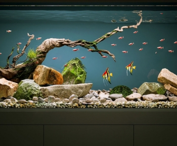 Modern Fish Tank-ID:533652071