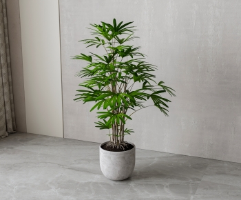 Modern Ground Green Plant Potted Plants-ID:240333086