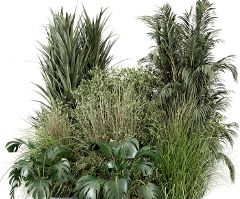 Modern Plant Pile-ID:922848946