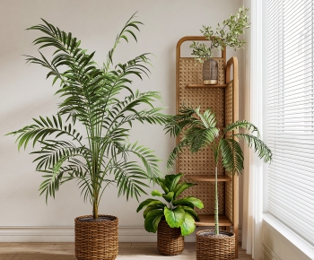 Modern Ground Green Plant Potted Plants-ID:278548008