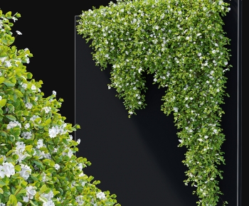 Modern Plant-ID:321719624