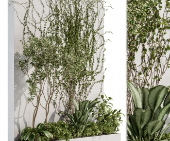 Modern Plant Wall-ID:538603077