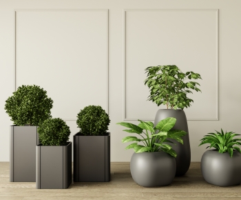 Modern Ground Green Plant Potted Plants-ID:286465884