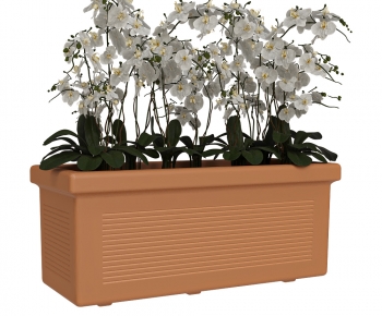 Modern Flower Bed, Flower Bowl, Flower Box-ID:930028921