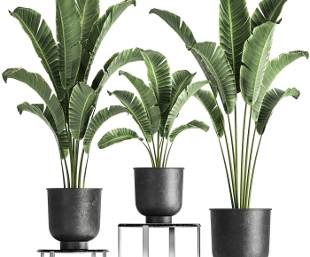 Modern Potted Green Plant-ID:901180031