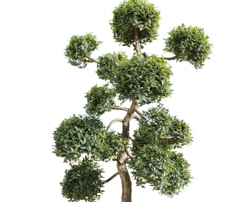 Modern Tree-ID:681804906