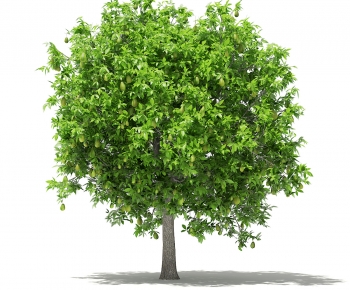 Modern Tree-ID:443052055