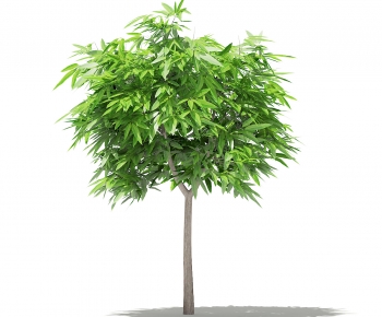 Modern Tree-ID:421329988