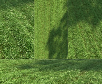 Modern The Grass-ID:359424119