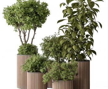 Modern Ground Green Plant Potted Plants-ID:675103909