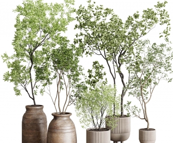 Modern Ground Green Plant Potted Plants-ID:254781014