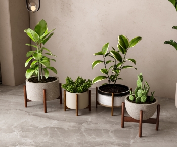 Modern Potted Green Plant-ID:177952056