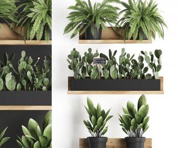 Modern Potted Green Plant-ID:167692909