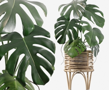 Modern Potted Green Plant-ID:792531014