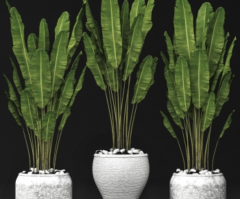 Modern Ground Green Plant Potted Plants-ID:253946073