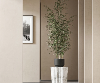 Modern Bamboo-ID:155648952