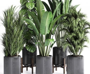 Modern Ground Green Plant Potted Plants-ID:829116113