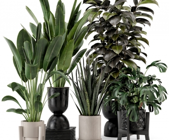 Modern Ground Green Plant Potted Plants-ID:131150969